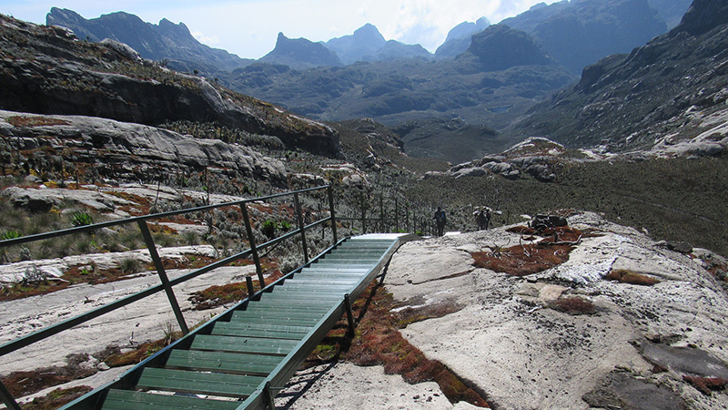 Кадър от експедицията „Rwenzori Trekking“