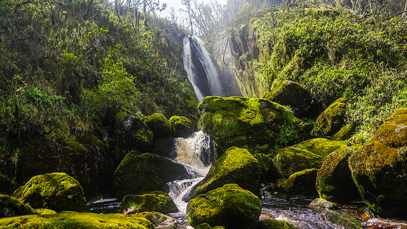 Кадър от експедицията „Rwenzori Trekking“