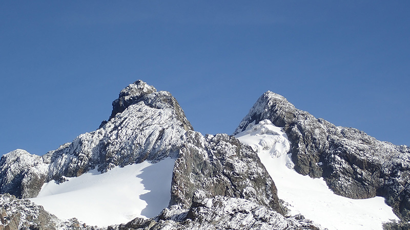 Кадър от експедицията „Rwenzori Trekking“