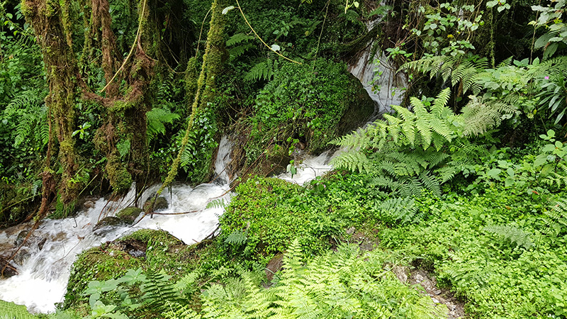 Кадър от експедицията „Rwenzori Trekking“