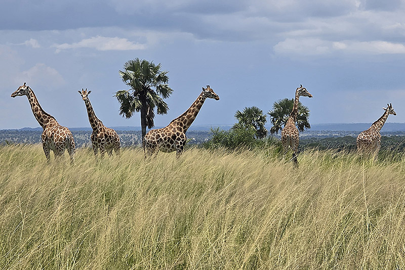 Персонален тур